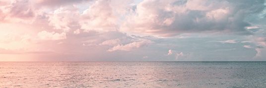 velguards's profile banner image