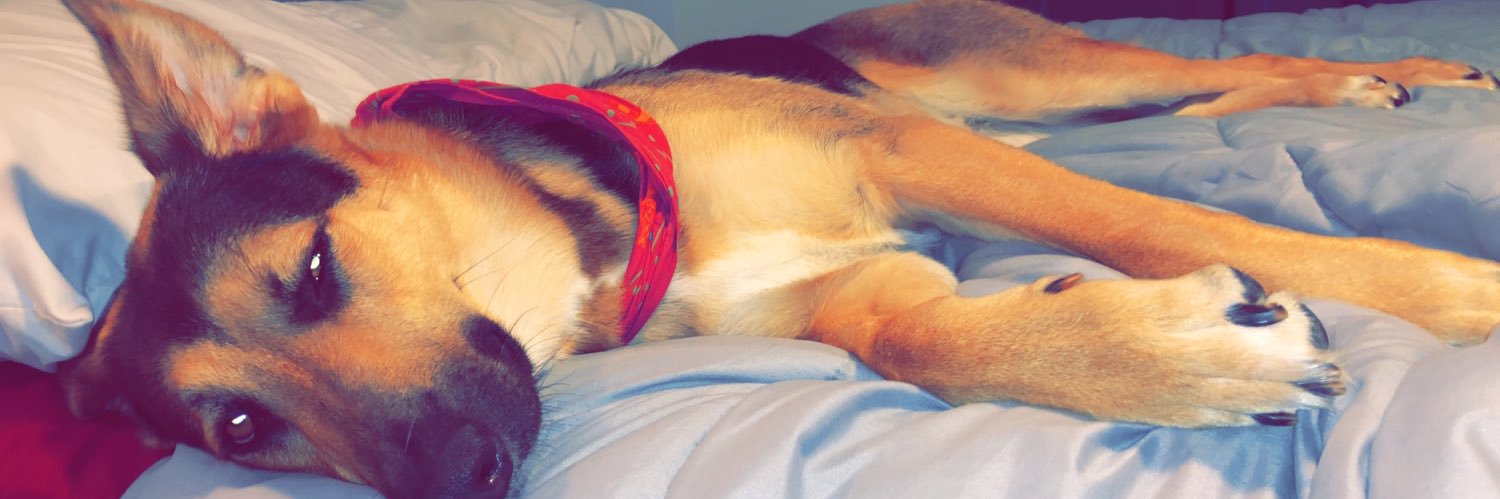 jackshelton4's profile banner image