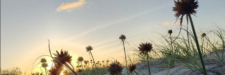 Haroldob's profile banner image