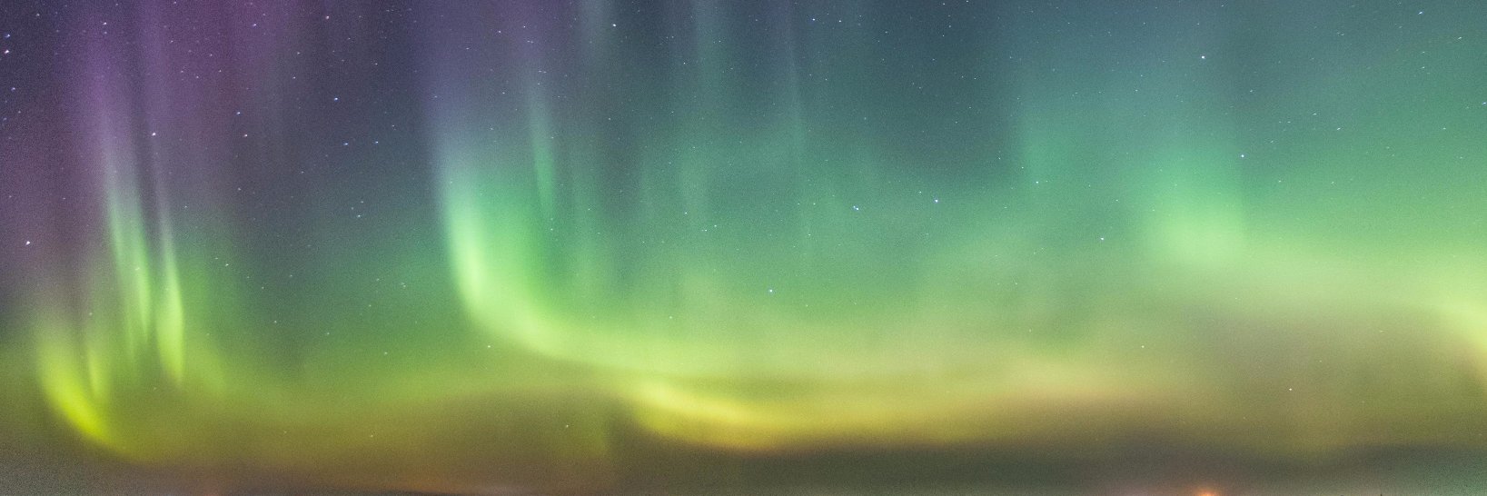 Timothy Niland banner