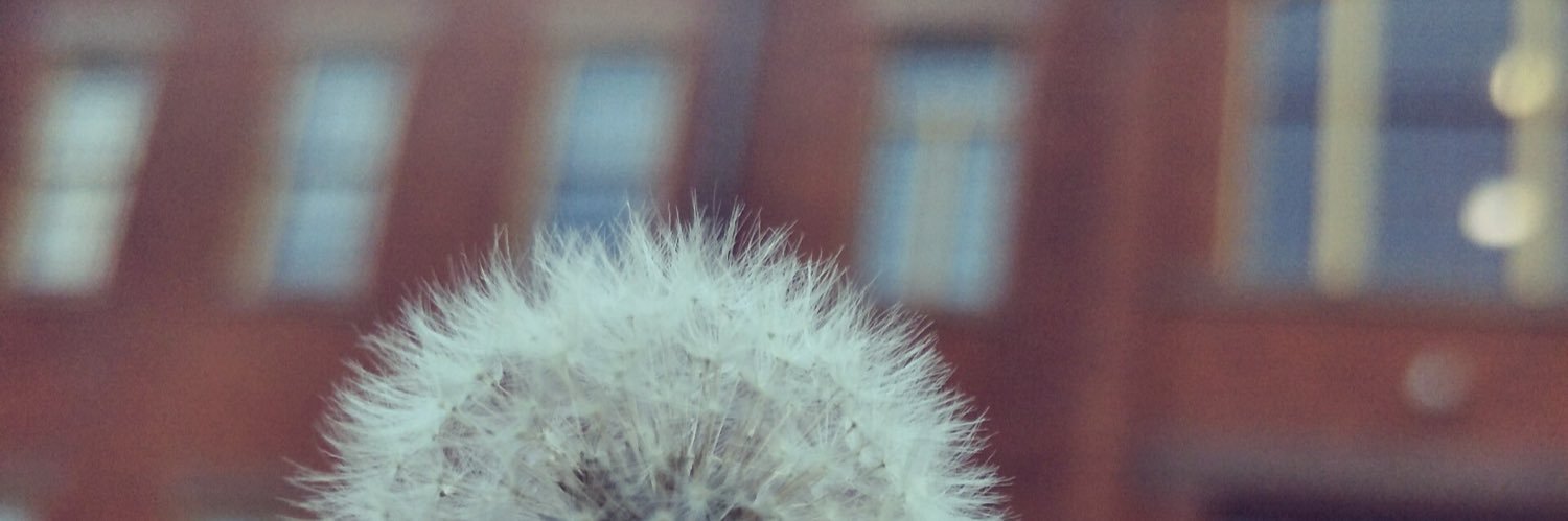 Vienneyney's profile banner image