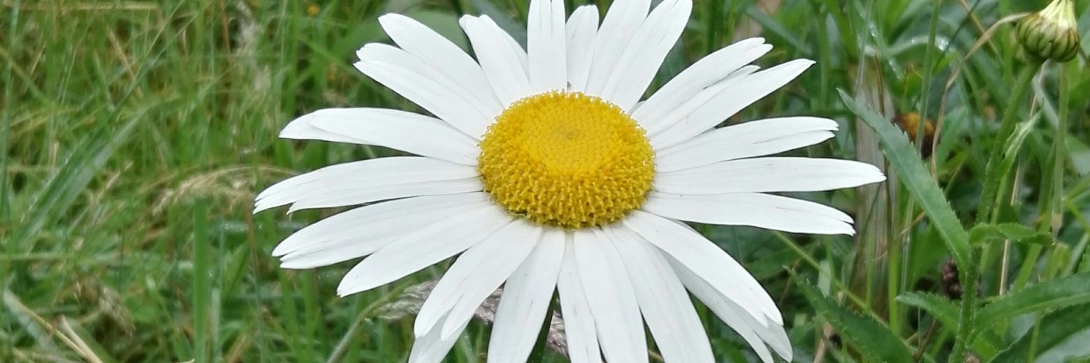 AnnaGamezL's profile banner image