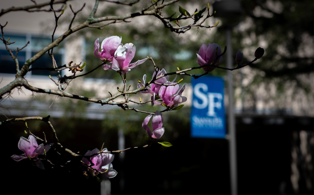 Santa Fe College banner