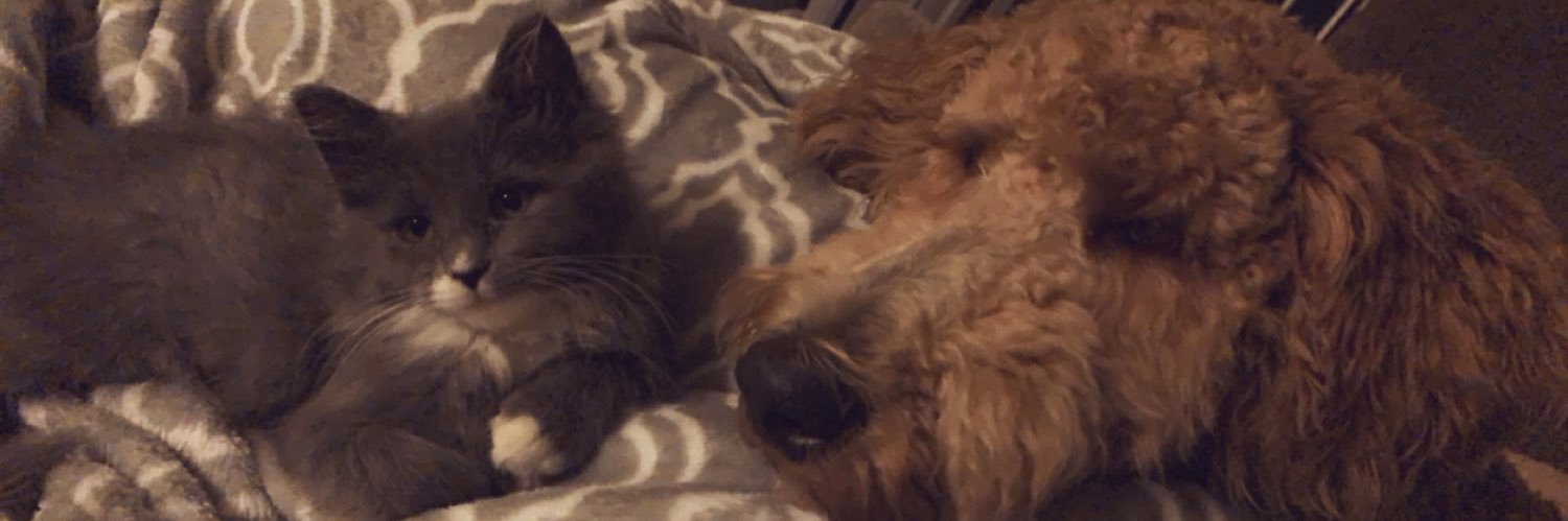 mollyfuller5's profile banner image