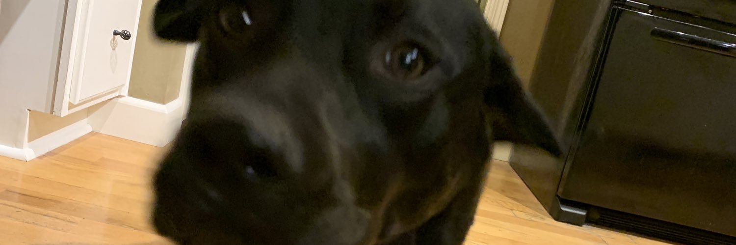 danerandaII's profile banner image