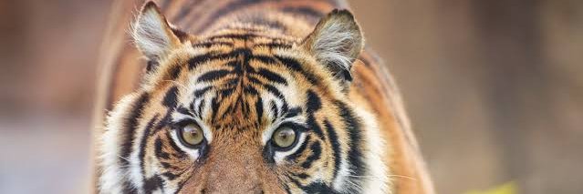 Sh69247619's profile banner image