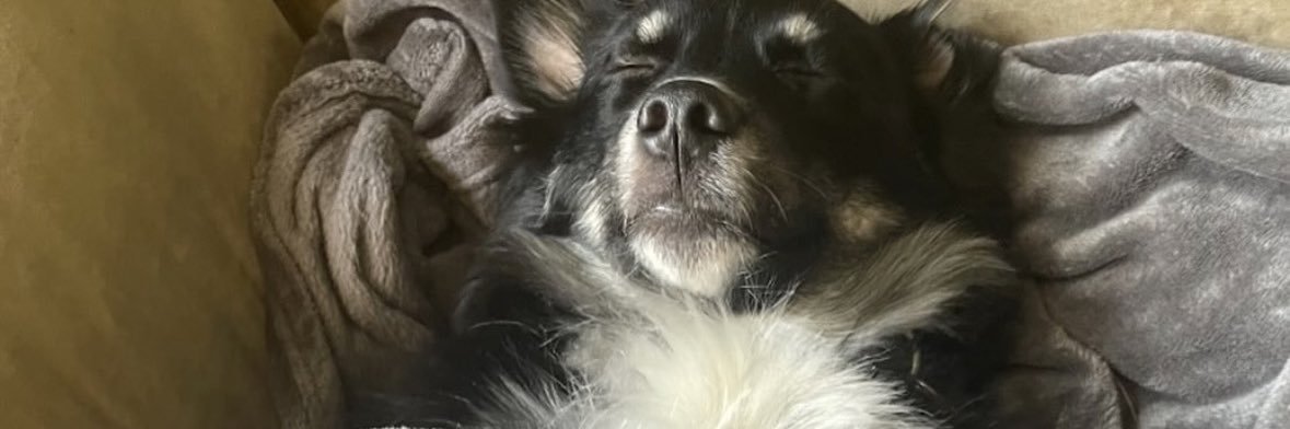 HunterRicee's profile banner image