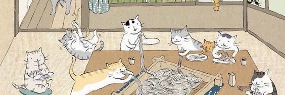 camiflani's profile banner image