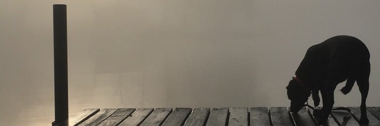 Holly Koester banner