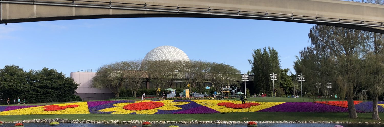 disneysallison's profile banner image