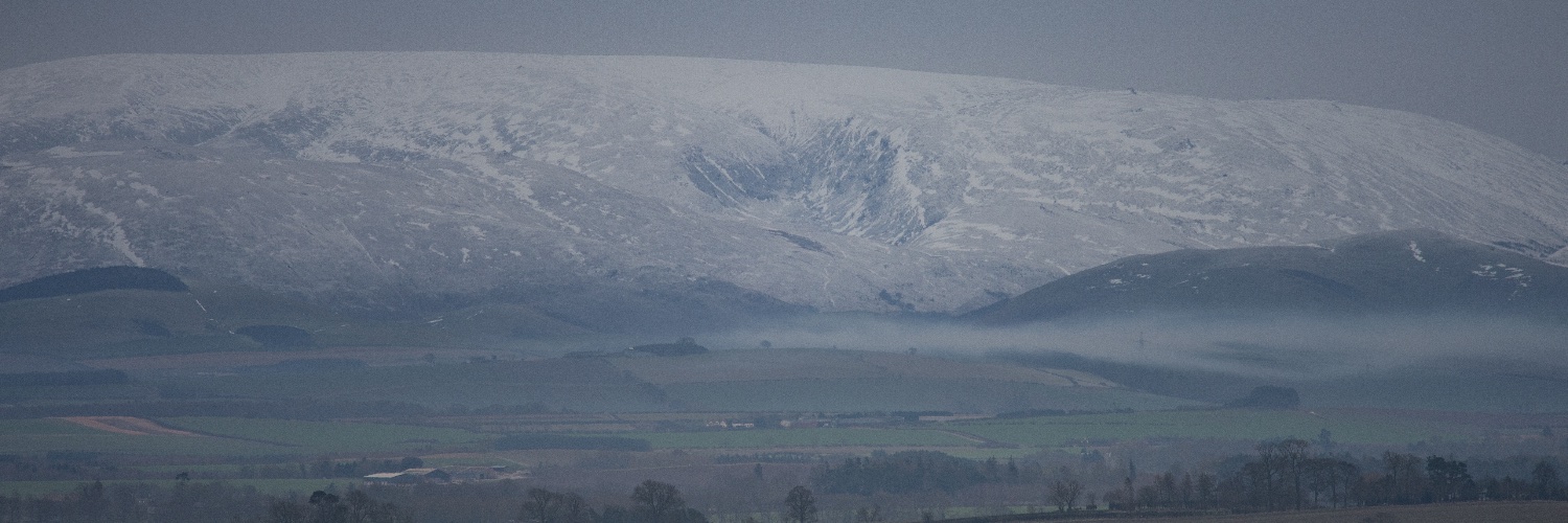 Nikonguy🇬🇧🇮🇱 banner