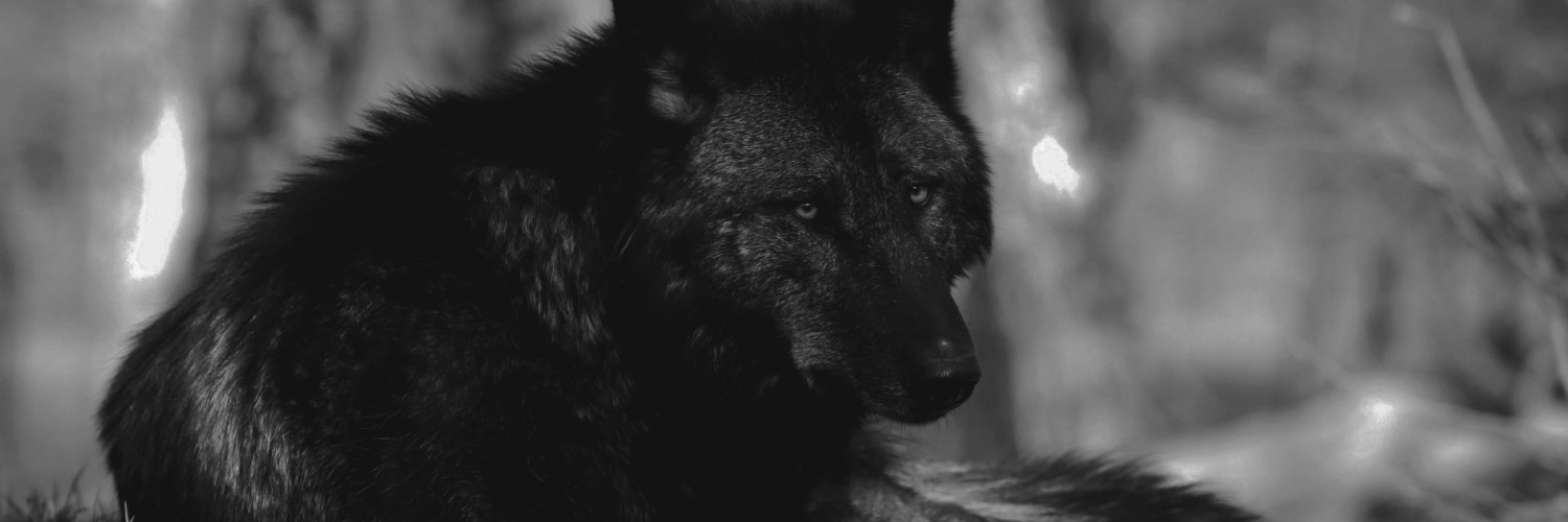 itmath's profile banner image