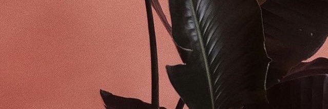 Dnb_Ruiz's profile banner image