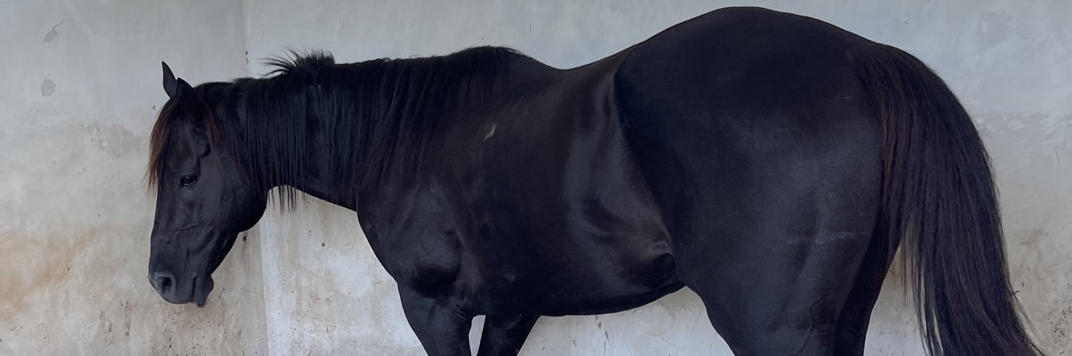 indahputrisesta's profile banner image