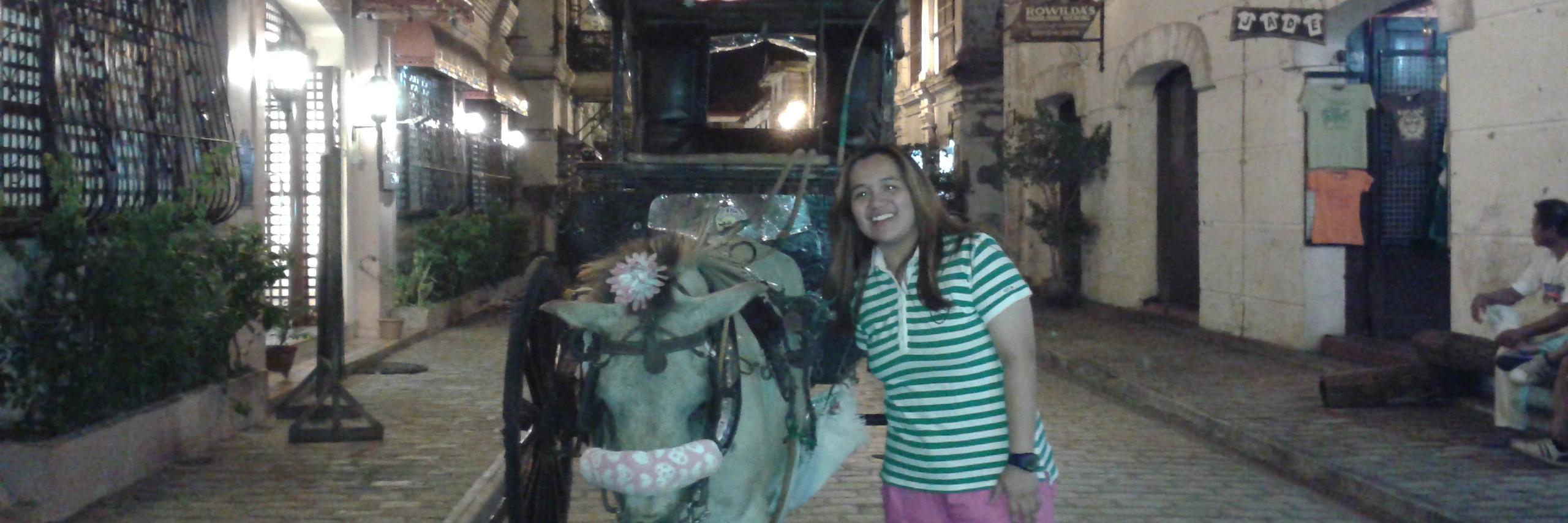 SuzanneQuizon's profile banner image