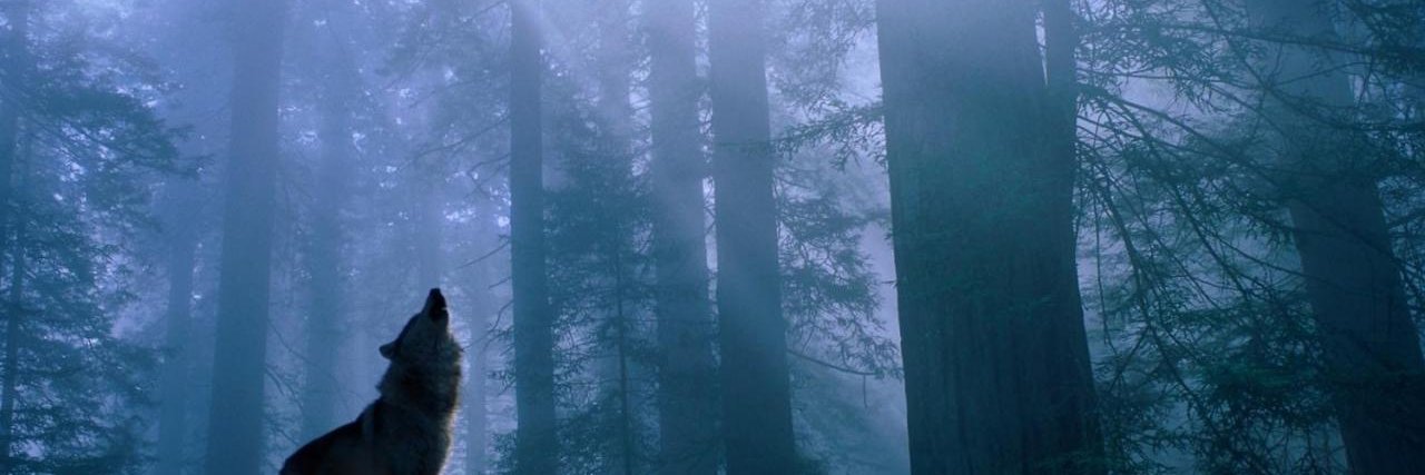 Valensa777's profile banner image