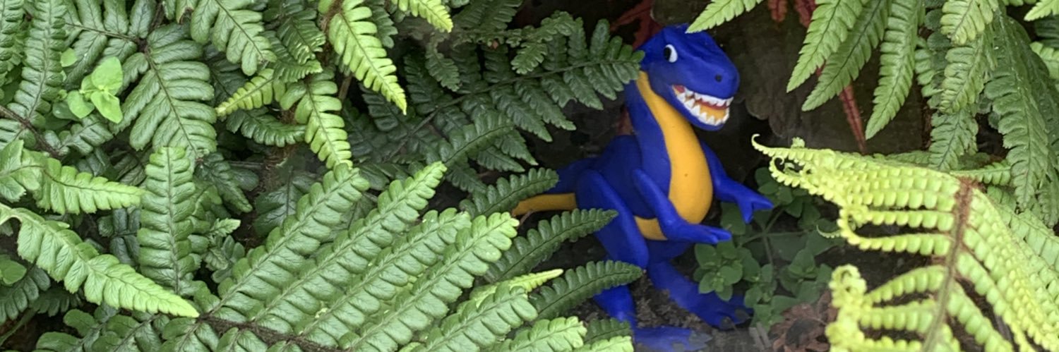 Sara O' Keeffe banner