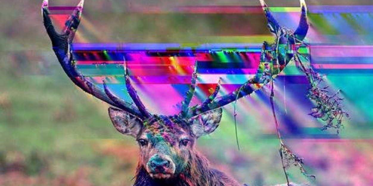 PaulMcEntee's profile banner image