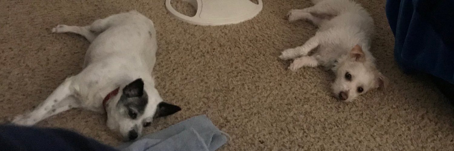 Sports Inferno⁴  banner