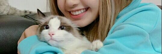 HSK0945's profile banner image