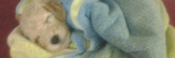 lilyngy's profile banner image