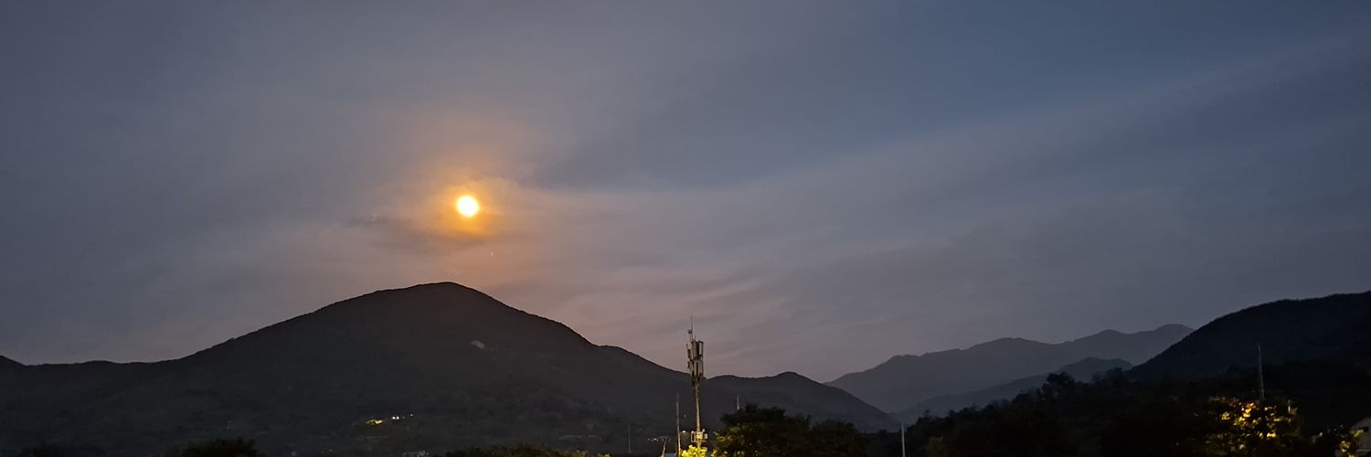 1stsarang's profile banner image