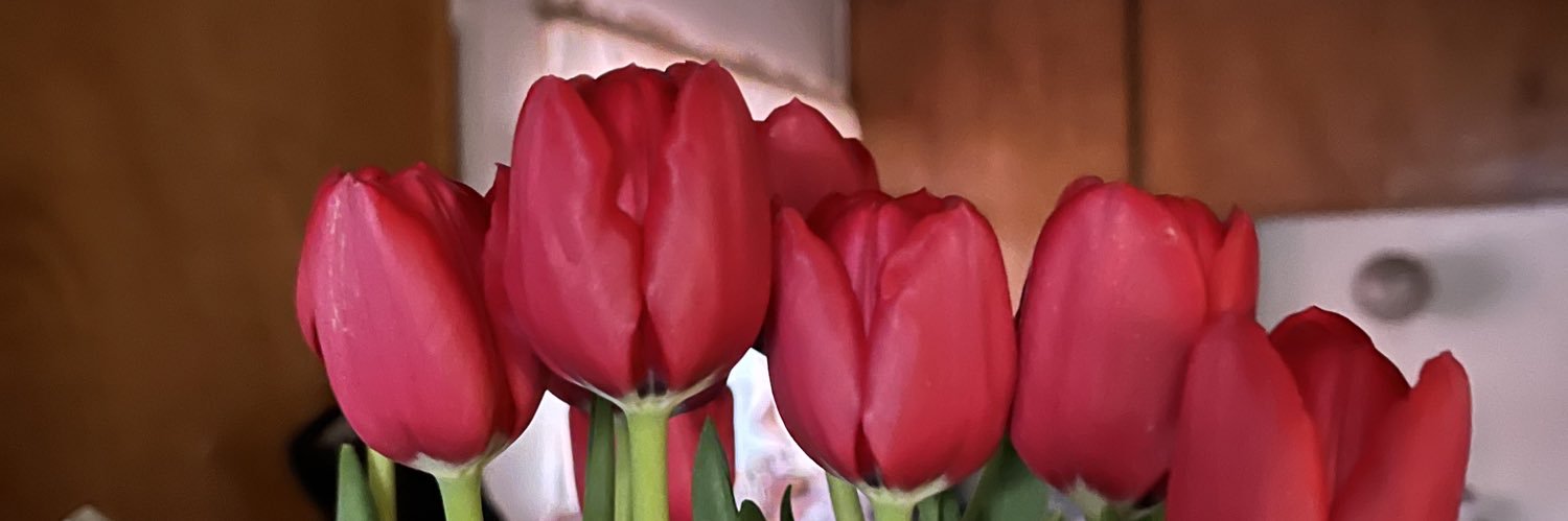 bbyjudi's profile banner image