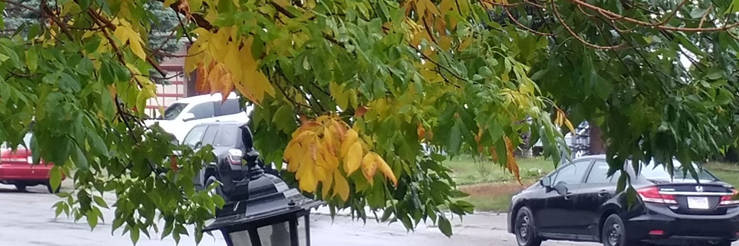 JCWPassions's profile banner image