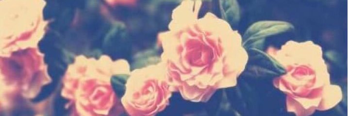 beka_rivera's profile banner image