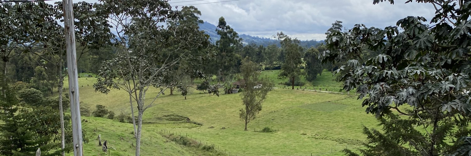 Paula Jimenez banner