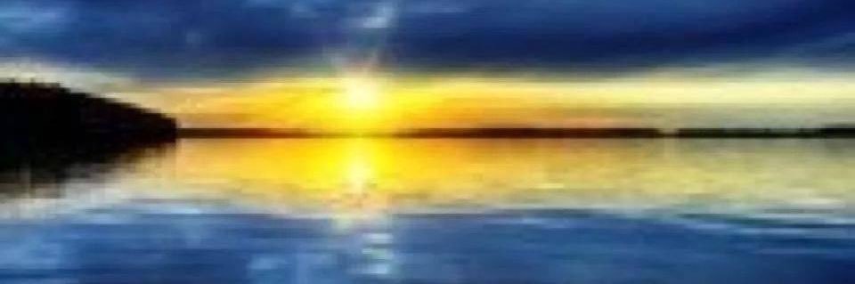 _____MsJ's profile banner image