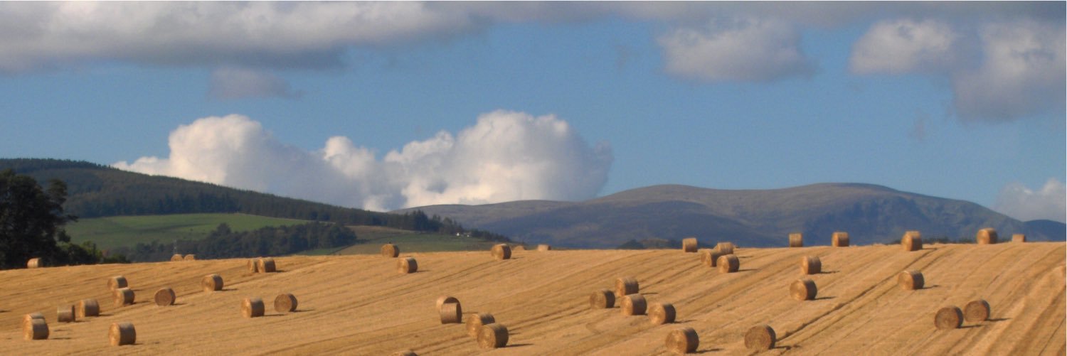 Tony_Bales's profile banner image