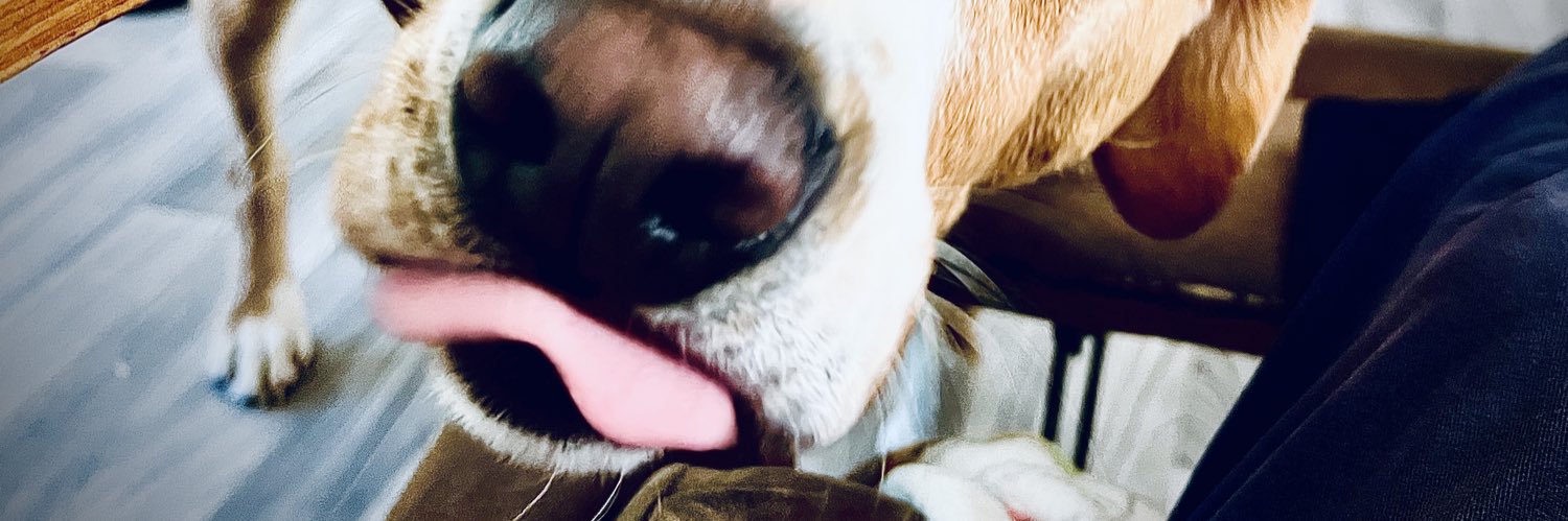 nofidd's profile banner image