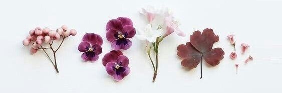 lorena_haydee's profile banner image