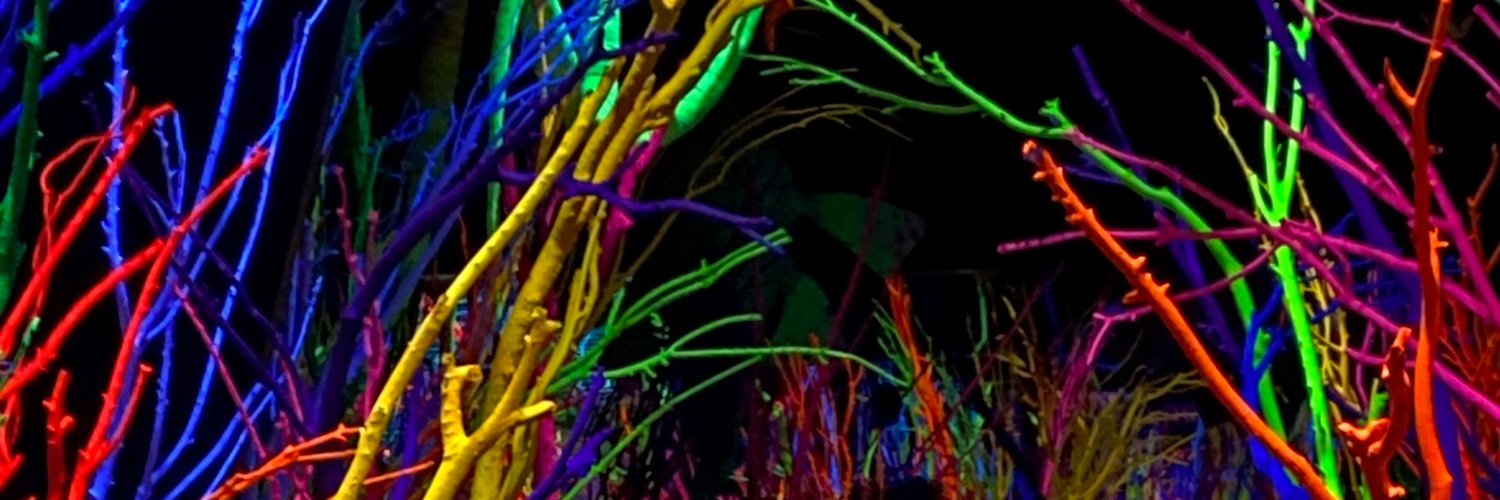 _IsabelCeleste's profile banner image