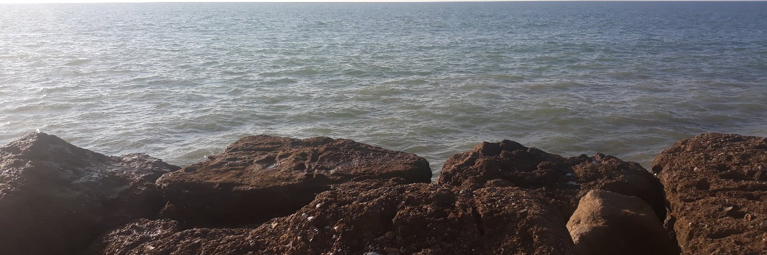 honeymonse's profile banner image