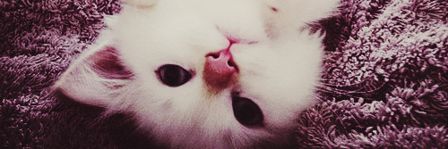actjimin's profile banner image