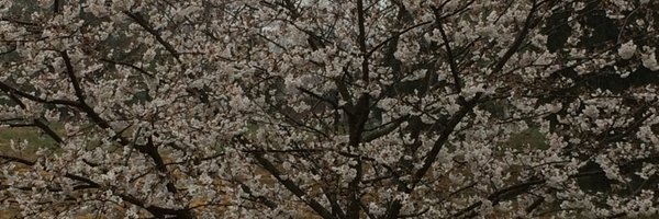 nyoung80 Profile Banner