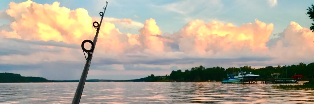 haleymariaa's profile banner image