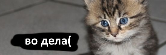 sarinacfg's profile banner image
