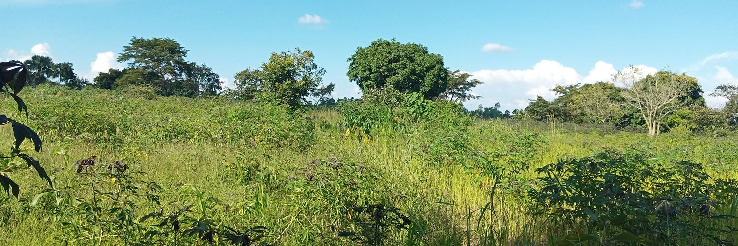 CAOndoga's profile banner image