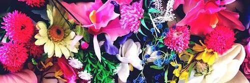 lizzy_bridges's profile banner image