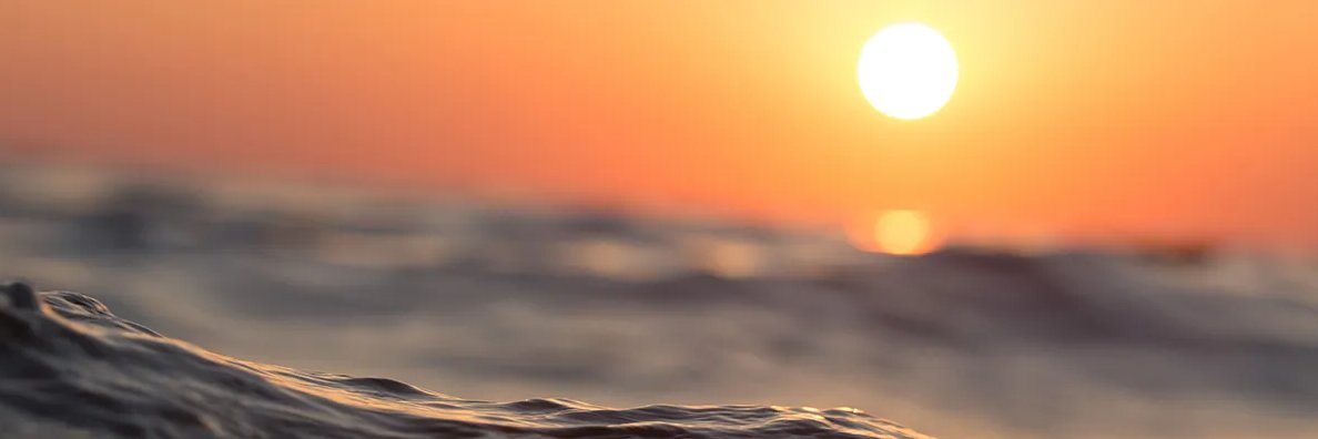 LucasBassetti's profile banner image