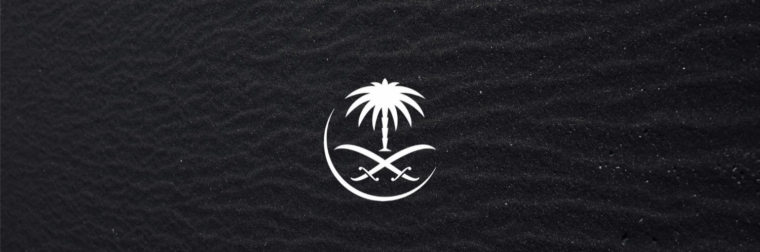 NX533's profile banner image