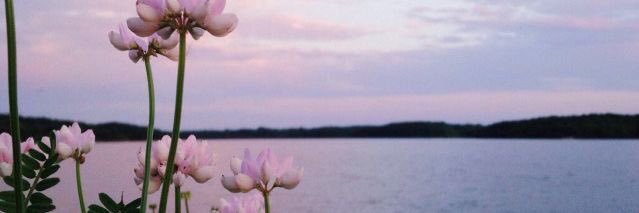 _Tweez's profile banner image
