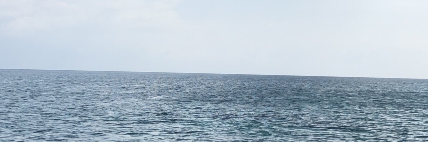 Reesiebruce's profile banner image