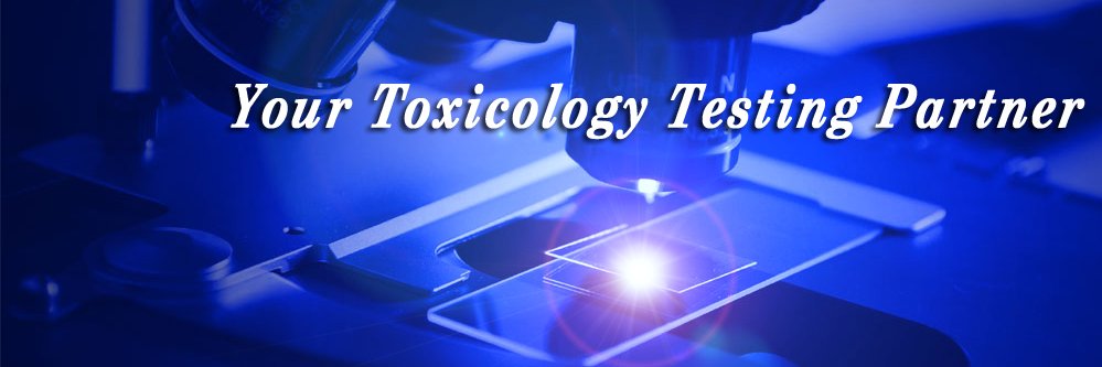 MB Research banner