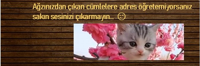 gnyfatma's profile banner image