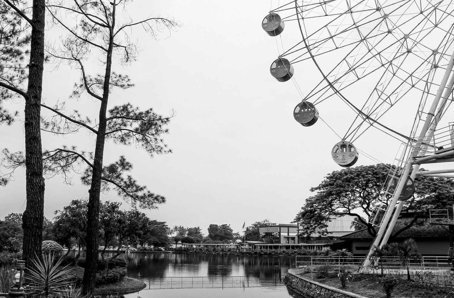 pinastiko_dee's profile banner image
