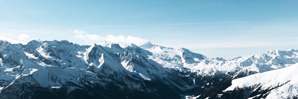nellieesvensson's profile banner image